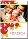 http://www.minted.com/holiday-photo-cards