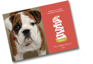 pet holiday cards