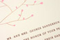 brown / light pink / choc...