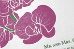 http://cdn3.minted.com/files/mintedProductsImages/CEC/CEC-DAL-INV-004_A_CS.jpg