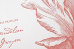 http://cdn3.minted.com/files/mintedProductsImages/CEC/CEC-PTL-INV-004_A_CS.jpg