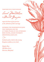 Parrot Tulip Wedding Invitations, by CECI New York