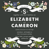 Banner and Branches Wedding Announcements