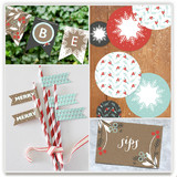Berry Kraft Party Decor