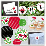Little Ladybug Party Decor