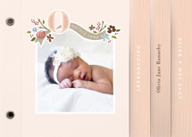 Fairy Tale Beginnings Birth Announcement Minibook&trade; Cards