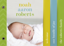 Classy Noah Birth Announcement Minibook&trade; Cards