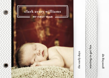 My First Year Birth Announcement Minibook&trade; Cards