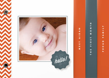Chevron Hello Birth Announcement Minibook&trade; Cards