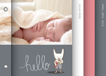 Baby Bunny Birth Announcement Minibooks
