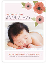 New Born Poppy Birth Announcement Magnets