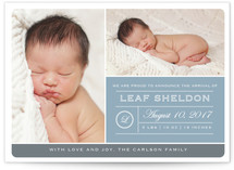 From Your Nose to Your Toes Birth Announcement Postcards