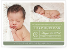 From Your Nose to Your Toes Birth Announcement Postcards