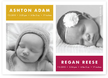 Modern Multiples Birth Announcement Postcards