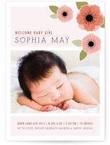 New Born Poppy Birth Announcement Postcards