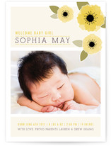 New Born Poppy Birth Announcement Postcards