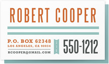 Steelfish Business Cards