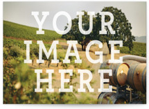 The Big Picture Business Cards