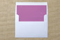 Slip-In Envelope Liners