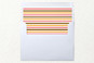 Slip-In Envelope Liners
