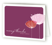 Virginia Birth Announcements Thank You Cards