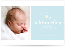 Hatched Birth Announcements