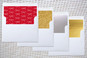Slip-In Envelope Liners