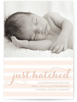 Just Hatched Birth Announcements