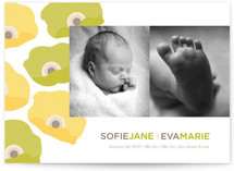 Pop Anemone Birth Announcements