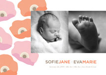 Pop Anemone Birth Announcements, by kelli hall