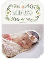 Sweet Little Ladybug Birth Announcements