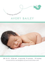 A Little Birdie Told Me Birth Announcements, by b.wise papers