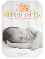 New Bloom Birth Announcements