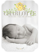New Bloom Birth Announcements
