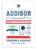Baby Infographic Birth Announcements