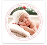 Simply Official Birth Announcements