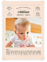 A Day in the Life Birth Announcements