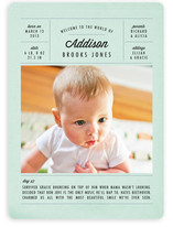 A Day in the Life Birth Announcements