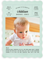 A Day in the Life Birth Announcements