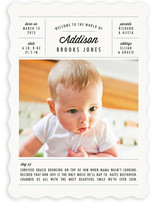 A Day in the Life Birth Announcements
