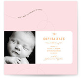 All the Buzz Birth Announcements