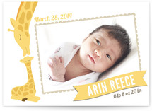 Lovely Giraffe Birth Announcements