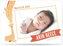 Lovely Giraffe Birth Announcements