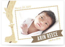 Lovely Giraffe Birth Announcements