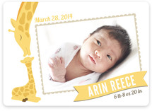 Lovely Giraffe Birth Announcements