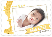 Lovely Giraffe Birth Announcements