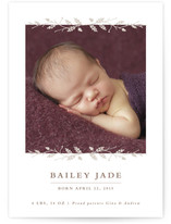 Acorn and Twig Frame Birth Announcements