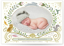 Woodland Awakening Owl Birth Announcements