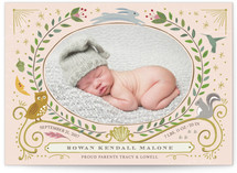 Woodland Awakening Owl Birth Announcements