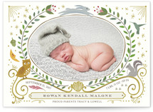 Woodland Awakening Owl Birth Announcements